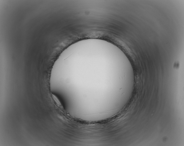 X0000097470307200802220835