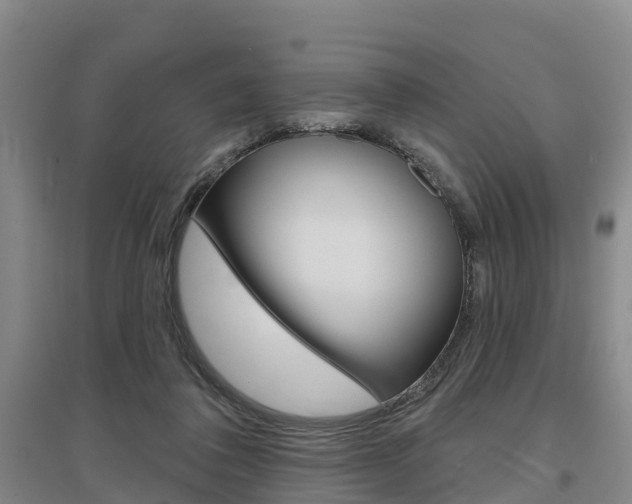 X0000097470308200802220835