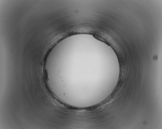 X0000097470309200802220835