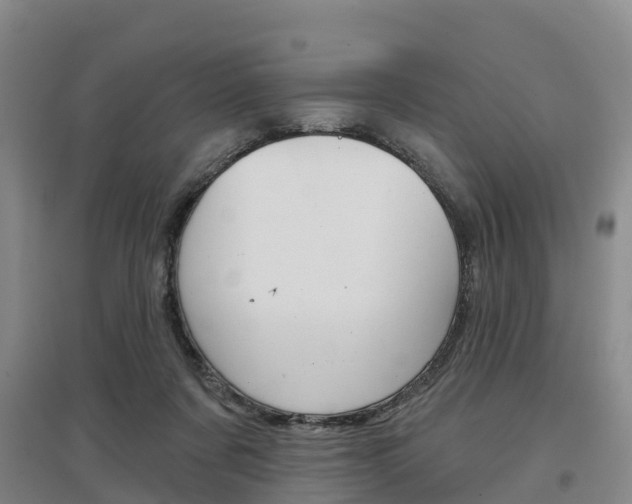 X0000097470311200802220835