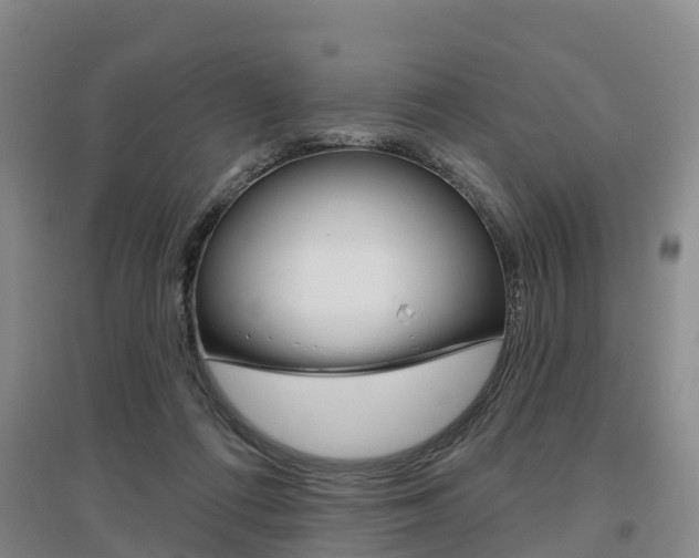 X0000097470312200802220835