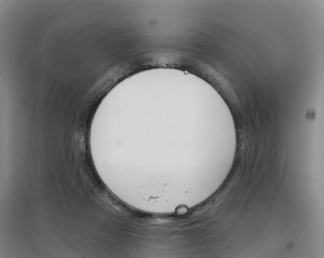 X0000097470313200802220835