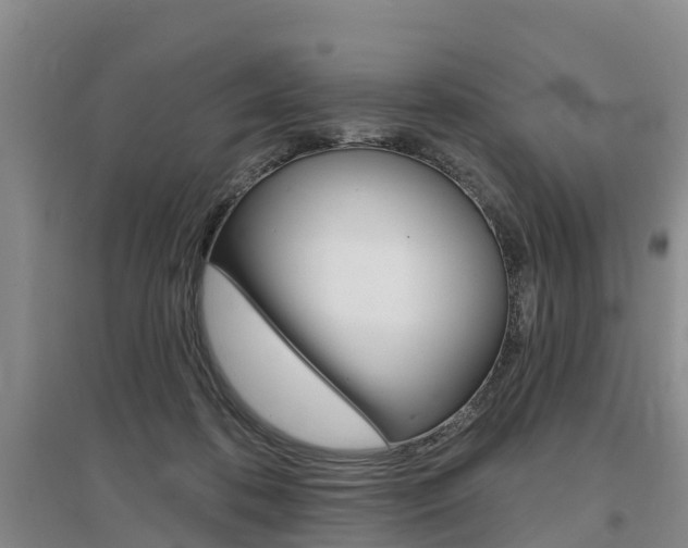 X0000097470316200802220835