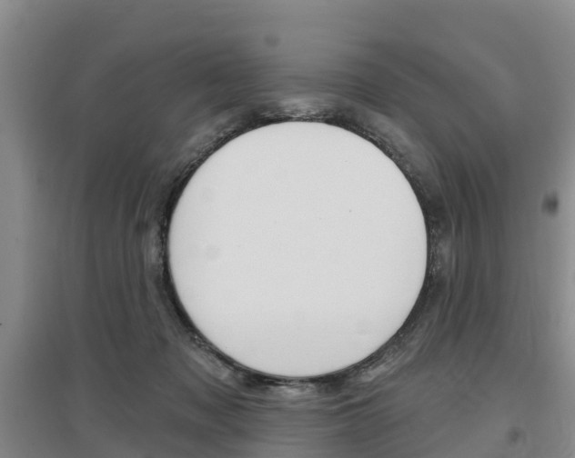 X0000097470317200802220835