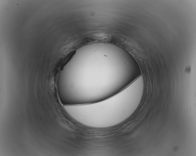 X0000097470320200802220835
