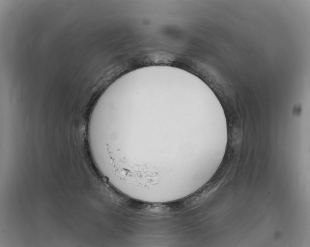 X0000097470321200802220835