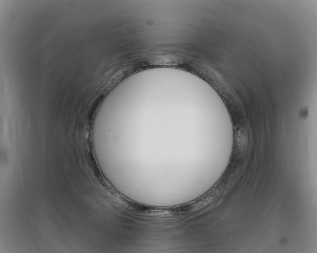 X0000097470322200802220835