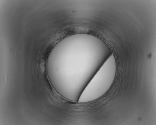 X0000097470323200802220835