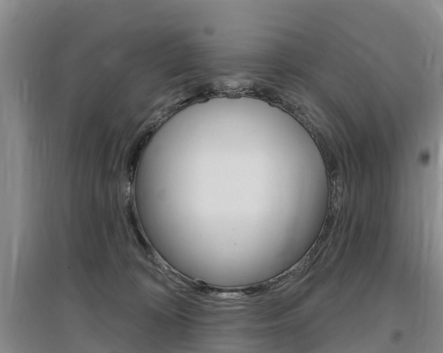 X0000097470324200802220835