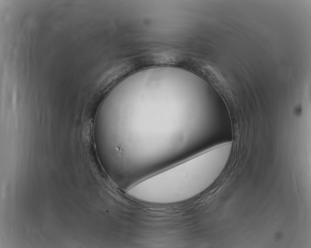 X0000097470325200802220835
