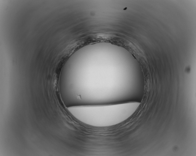 X0000097470328200802220835