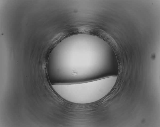 X0000097470329200802220835