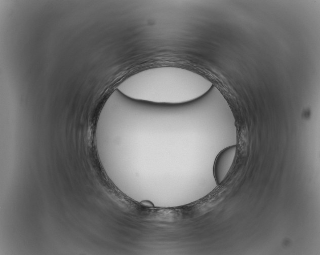 X0000097470330200802220835