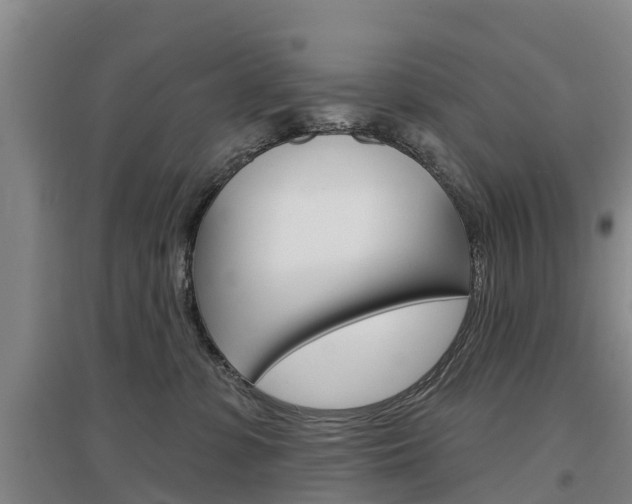 X0000097470331200802220835