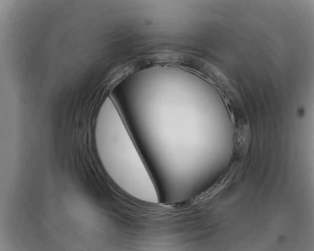 X0000097470333200802220835