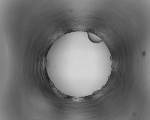 X0000097470334200802220835