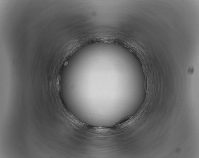 X0000097470336200802220835