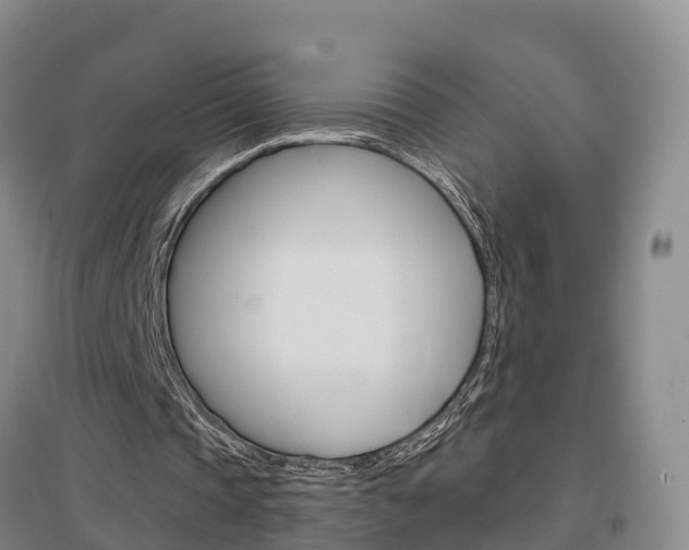 X0000097470337200802220834