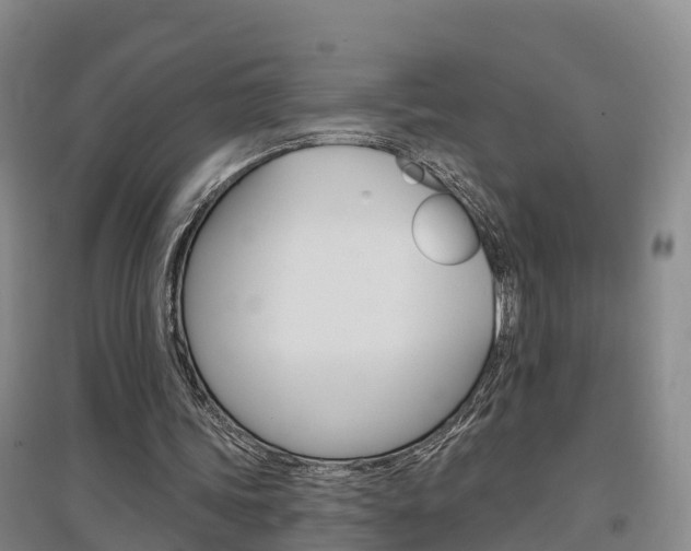 X0000097470339200802220834