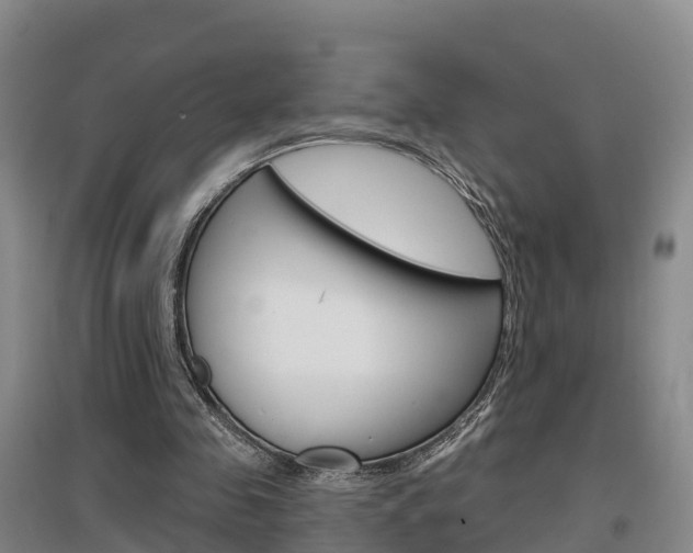 X0000097470341200802220834