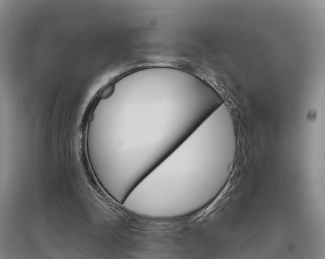 X0000097470342200802220834