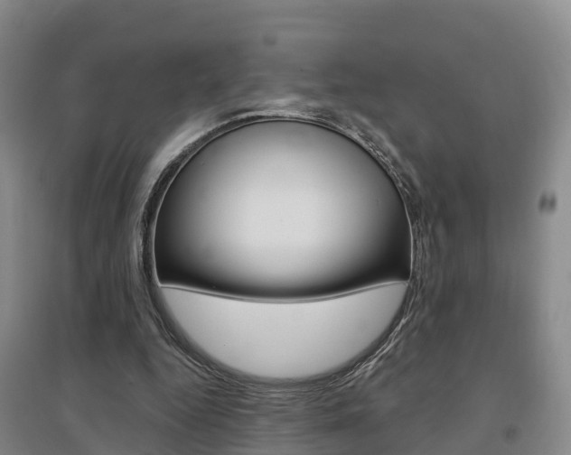 X0000097470344200802220834