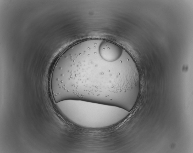 X0000097470346200802220834