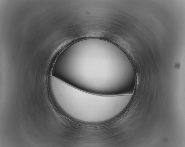 X0000097470348200802220834