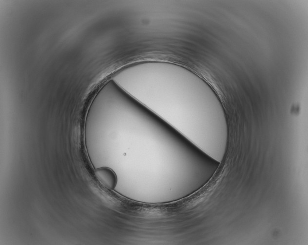 X0000097470349200802220834