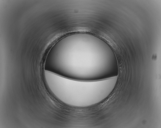 X0000097470350200802220834