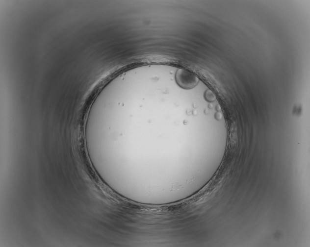 X0000097470351200802220834
