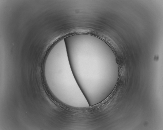 X0000097470352200802220834