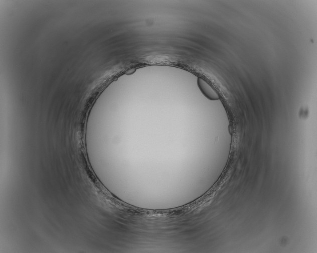 X0000097470353200802220834