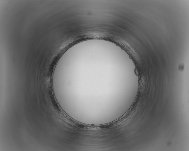 X0000097470355200802220834