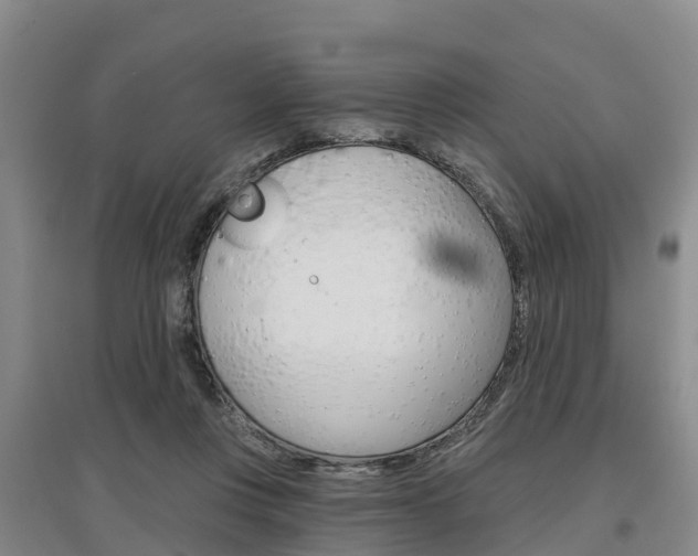 X0000097470359200802220834