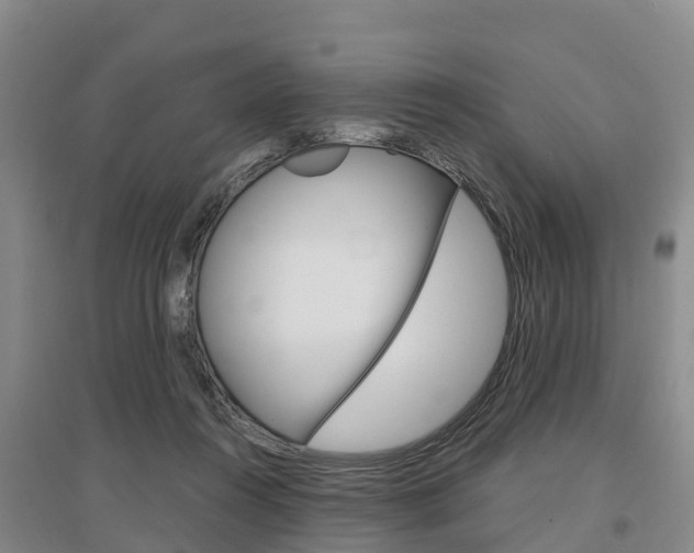 X0000097470360200802220834