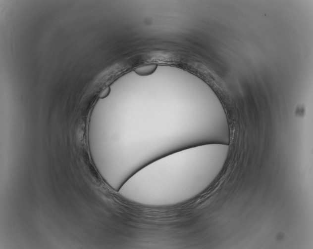 X0000097470361200802220834