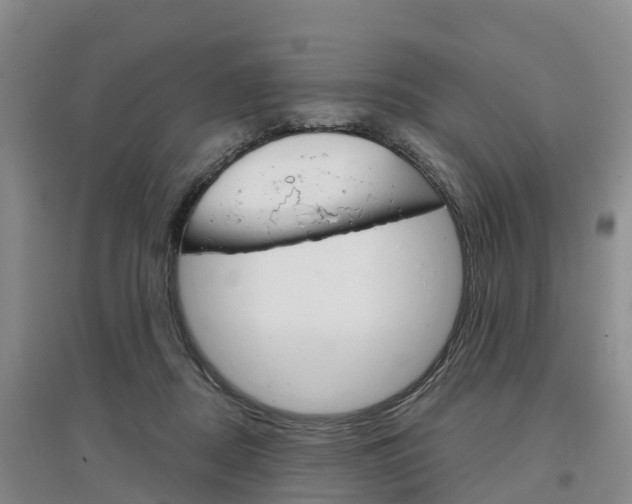 X0000097470362200802220834