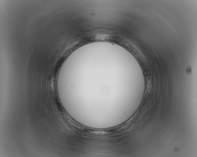 X0000097470363200802220834