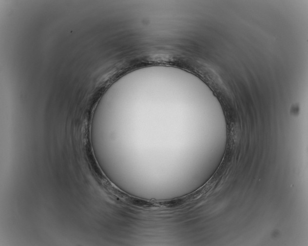 X0000097470364200802220834