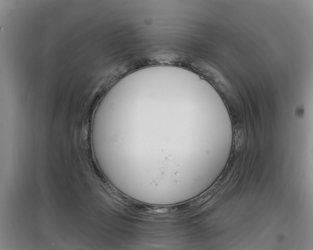 X0000097470365200802220834