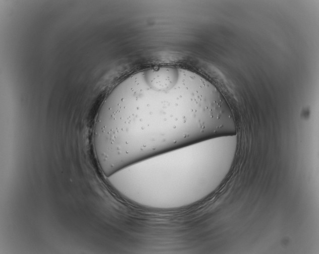 X0000097470366200802220834