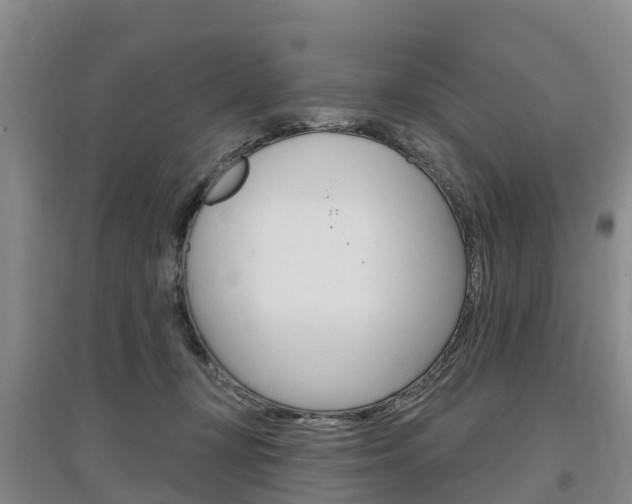 X0000097470367200802220834