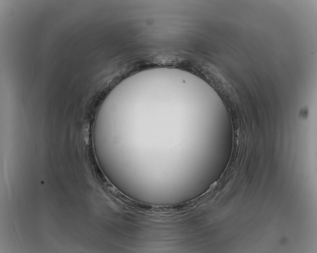 X0000097470368200802220834