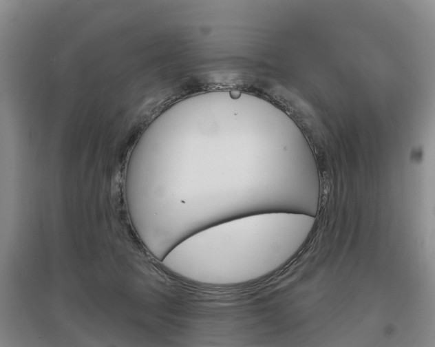 X0000097470369200802220834