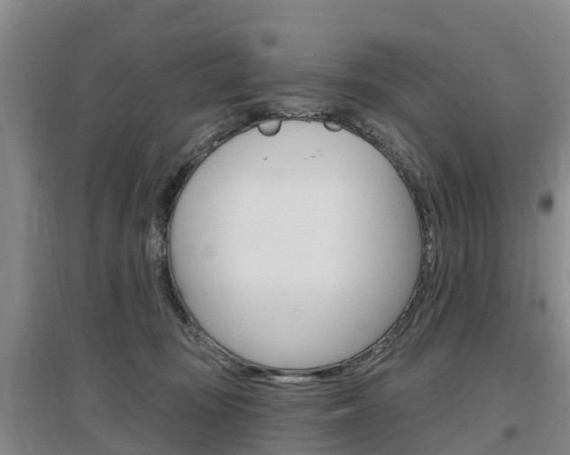 X0000097470371200802220834