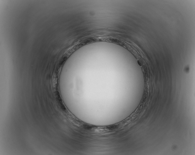 X0000097470372200802220834