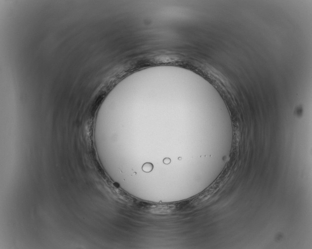 X0000097470373200802220834