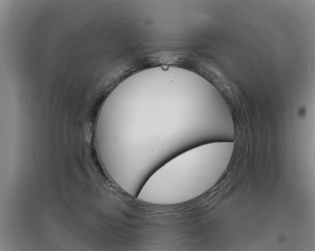 X0000097470374200802220834
