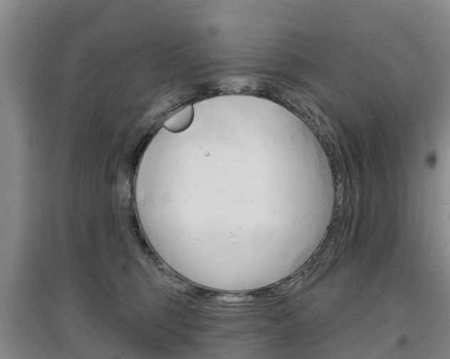 X0000097470375200802220834